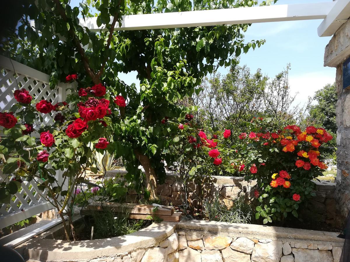 Neno - Terrace & Parking Veli Lošinj
