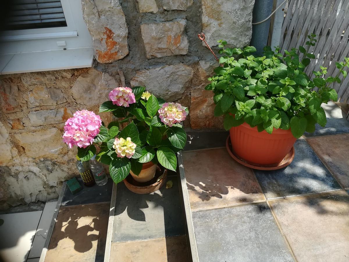 Appartement Neno - Terrace & Parking Veli Lošinj