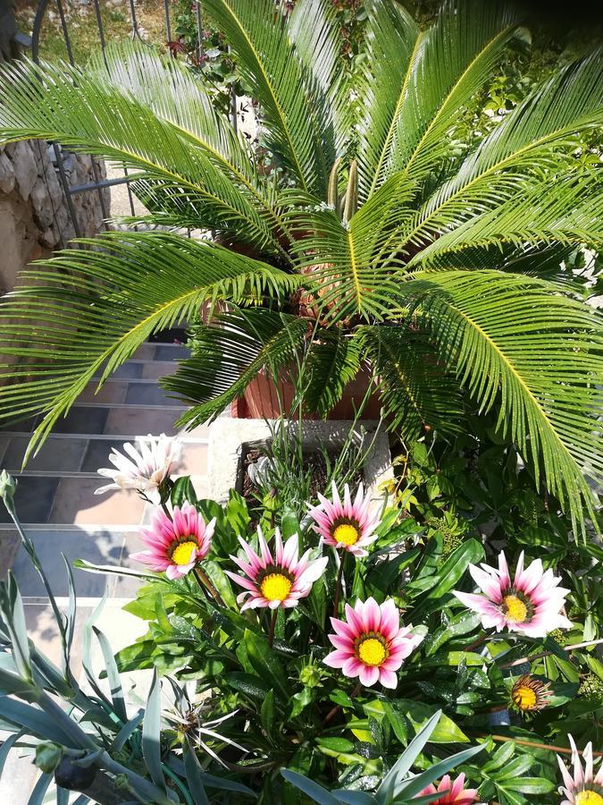 Neno - Terrace & Parking Appartement