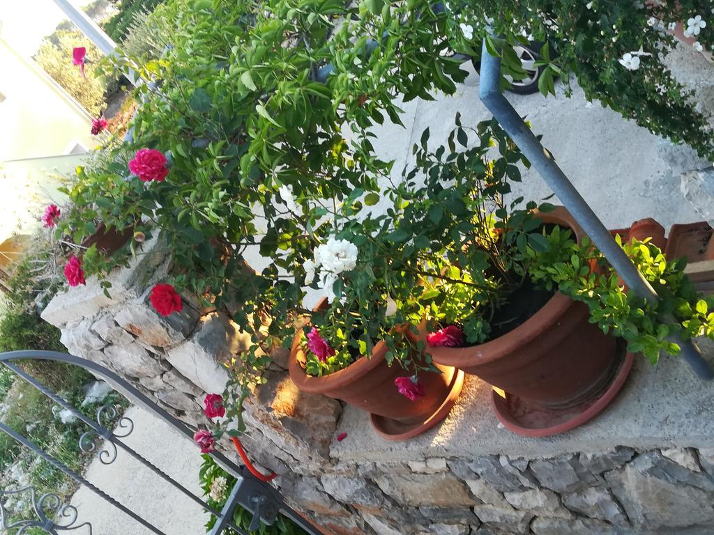 Apartament Neno - Terrace & Parking