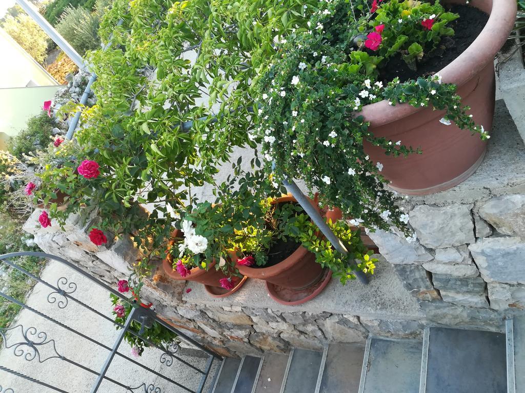 Neno - Terrace & Parking Apartament *