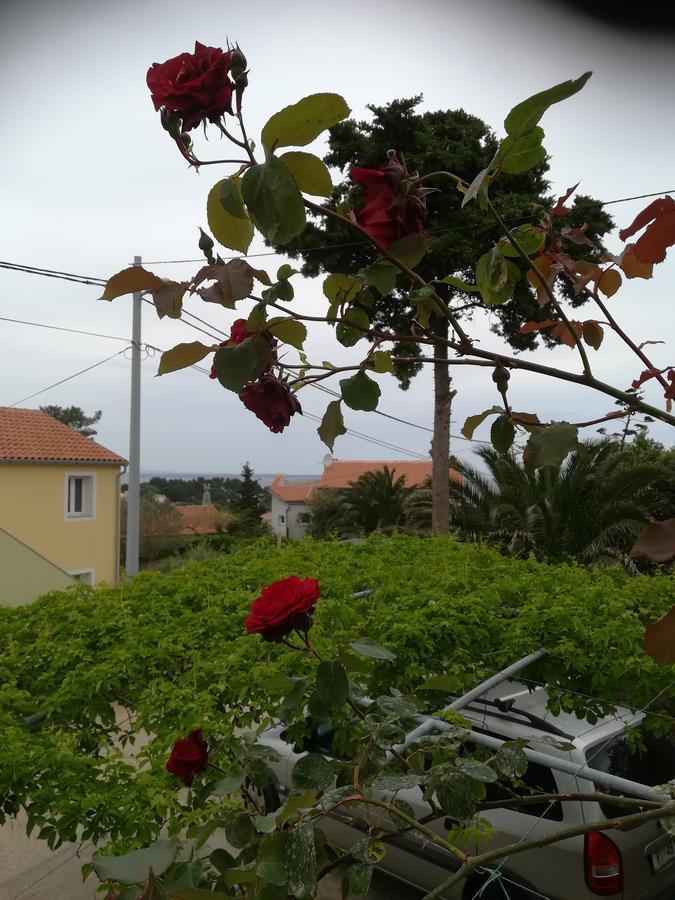 Neno - Terrace & Parking Apartament Veli Lošinj